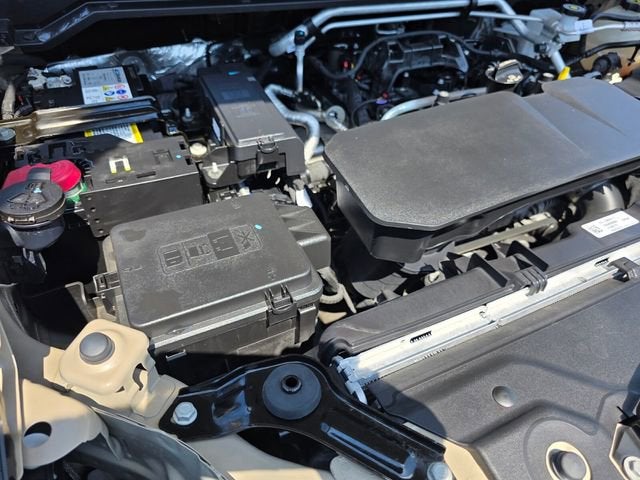 2023 Chevrolet Colorado WT