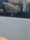 2024 Chevrolet Express Passenger 3500 1LT