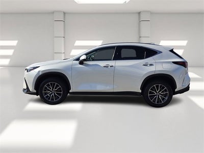 2024 Lexus NX NX 250 Premium