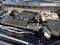 2024 Chevrolet Silverado 1500 Crew Cab Short Box 2-Wheel Drive Custom
